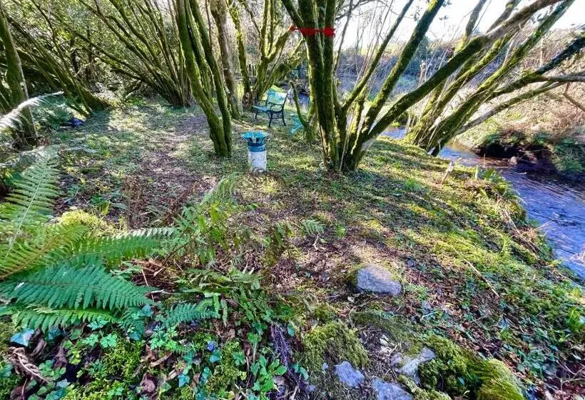 Stepping Stones Glamping ‘the Olive’