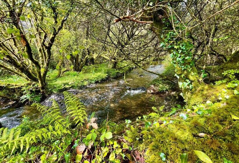 Stepping Stones Glamping ‘the Olive’