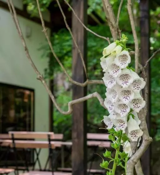 森の宿り 那須別邸まるやま
