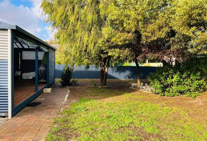 Da Ja Surf Pet Friendly