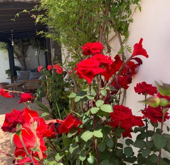 Family Villa With Pool, Walk To Beach, Restaurants And Shopping