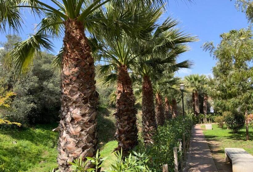 Family Villa With Pool, Walk To Beach, Restaurants And Shopping