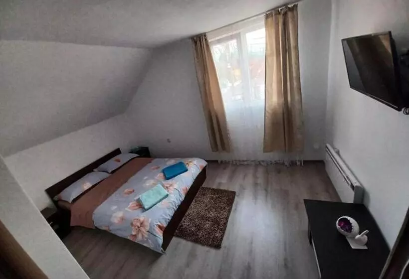 ペンション Casa Alex