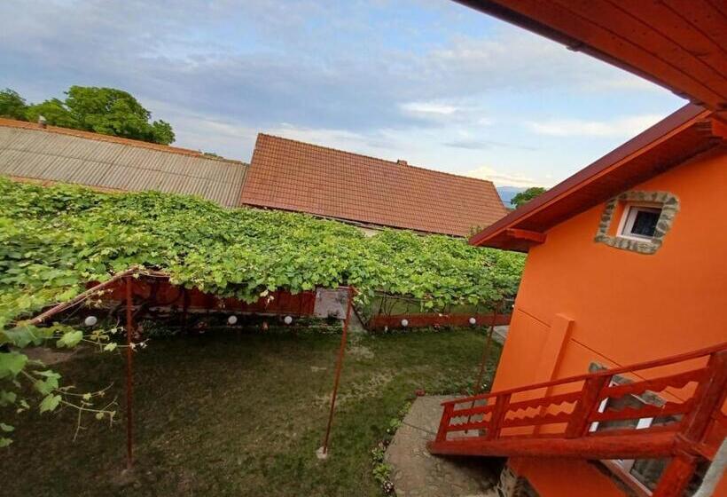 پانسیون Casa Alex