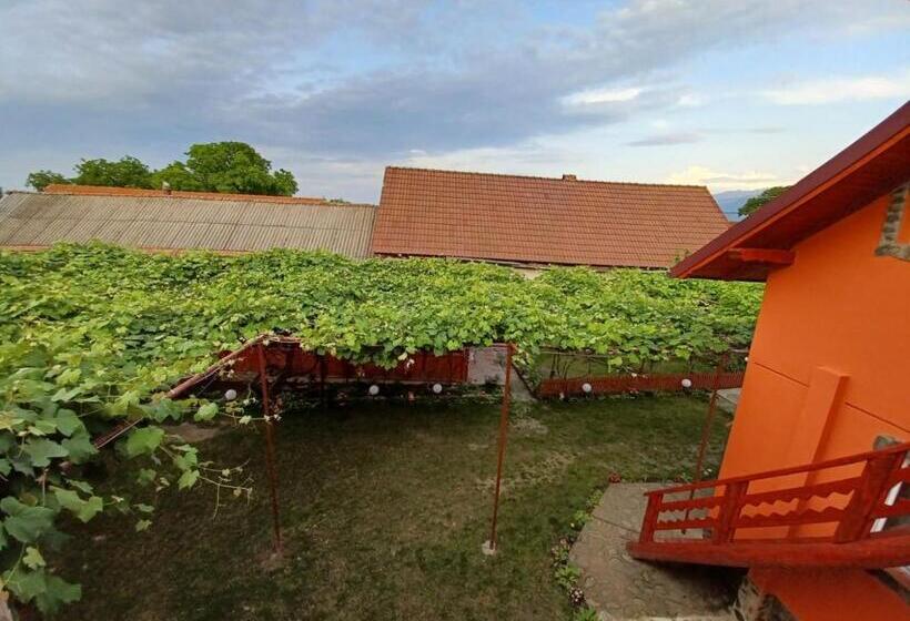 پانسیون Casa Alex