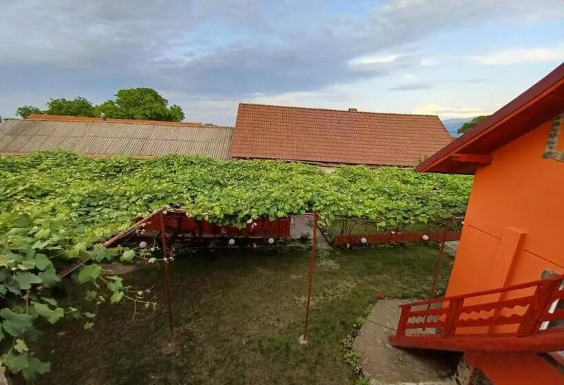 ペンション Casa Alex