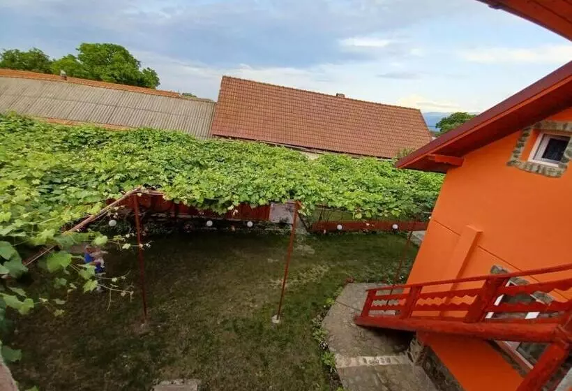 ペンション Casa Alex