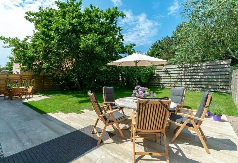 Attractive Home With Terrace