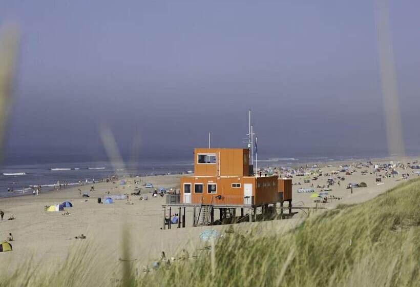 Attractive Home With Terrace