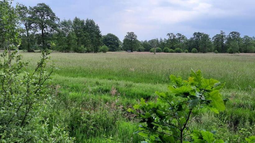 Erfgoed De Boemerang Chalets