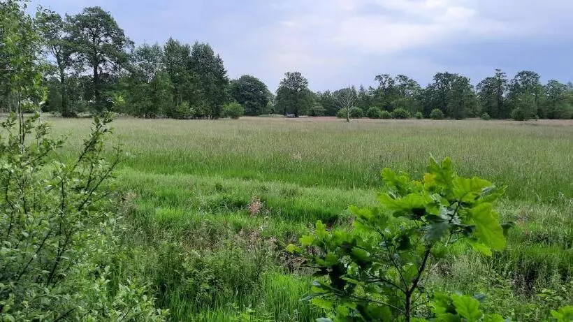 Erfgoed De Boemerang   Chalets