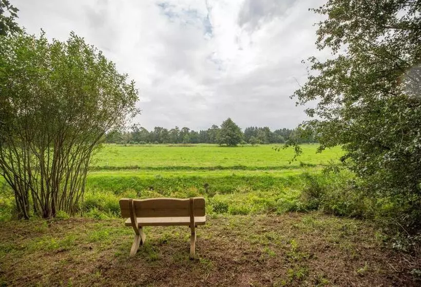Erfgoed De Boemerang   Chalets
