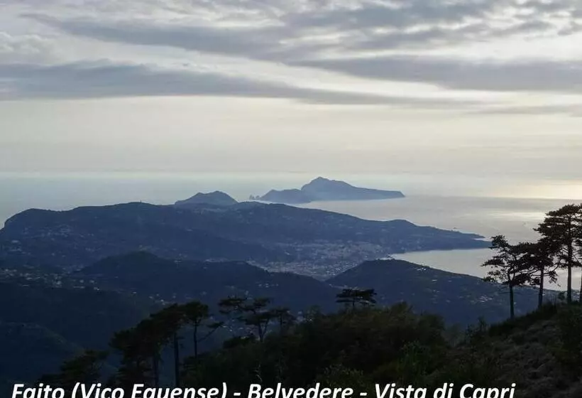 Filangieri 23 Luxury B&b Sorrento Coast