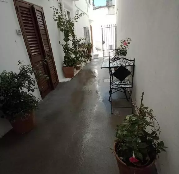 Aamiaismajoitus (B&B) Salento Nonni