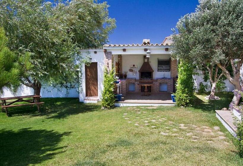 Espectacular Villa Con Piscina En Conil Cl 5c