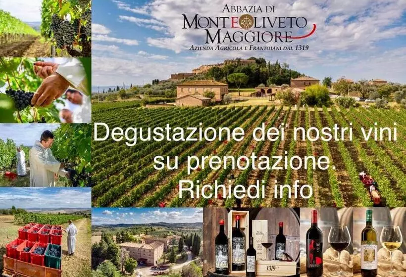 ホテル Agriturismo Diffuso Monte Oliveto Maggiore