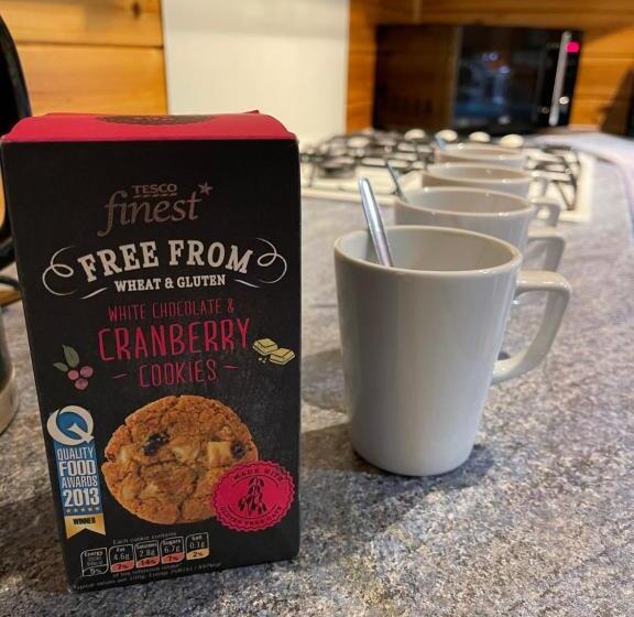 L10   The Conwy Spa With Hot Tub