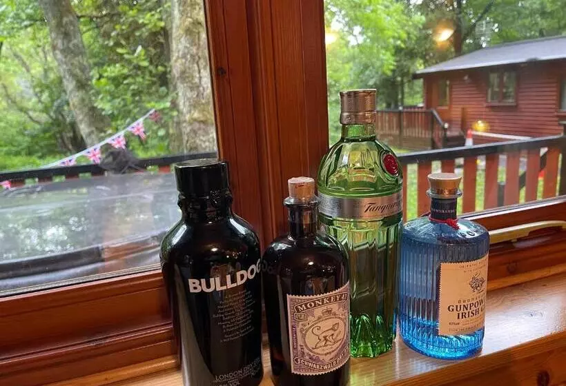 L10   The Conwy Spa With Hot Tub