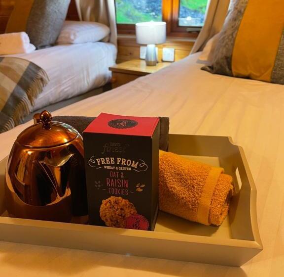 L10   The Conwy Spa With Hot Tub