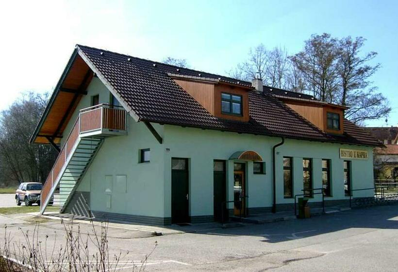 ペンション Penzion U Kapra