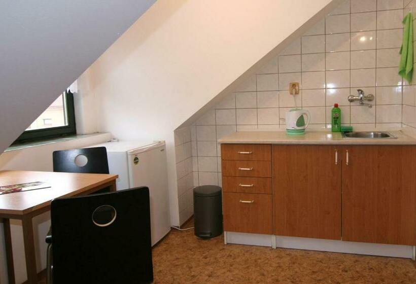 ペンション Penzion U Kapra