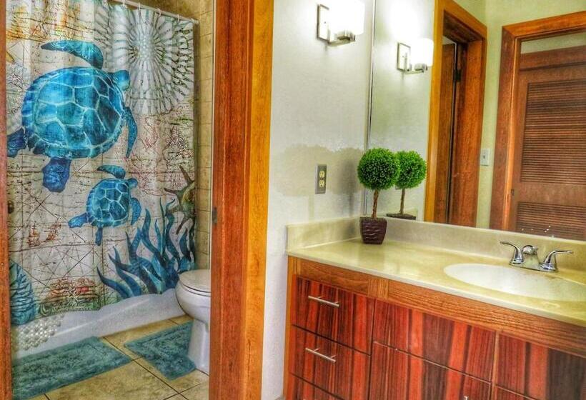 Aloha Poipu Beach Vacation Condo