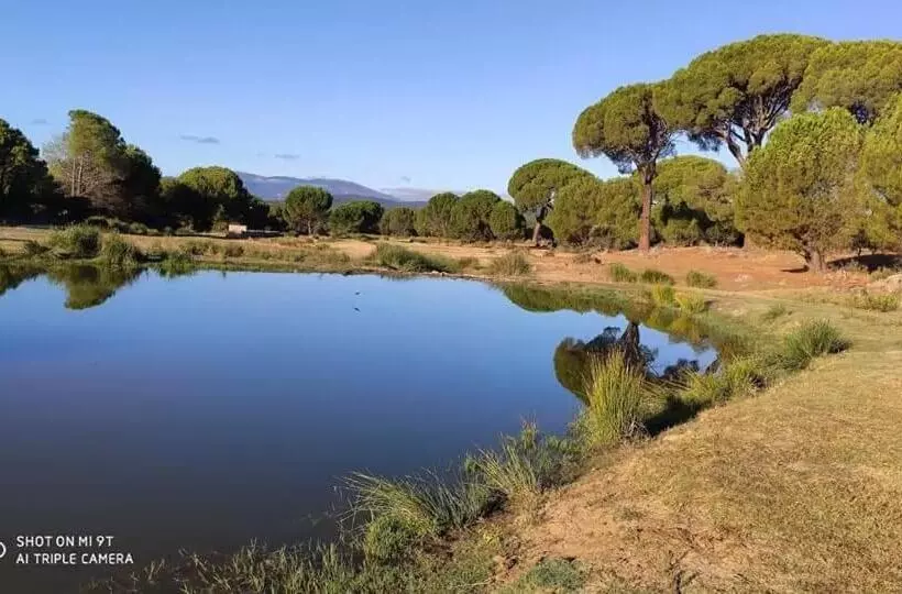 Alojamiento Castelar