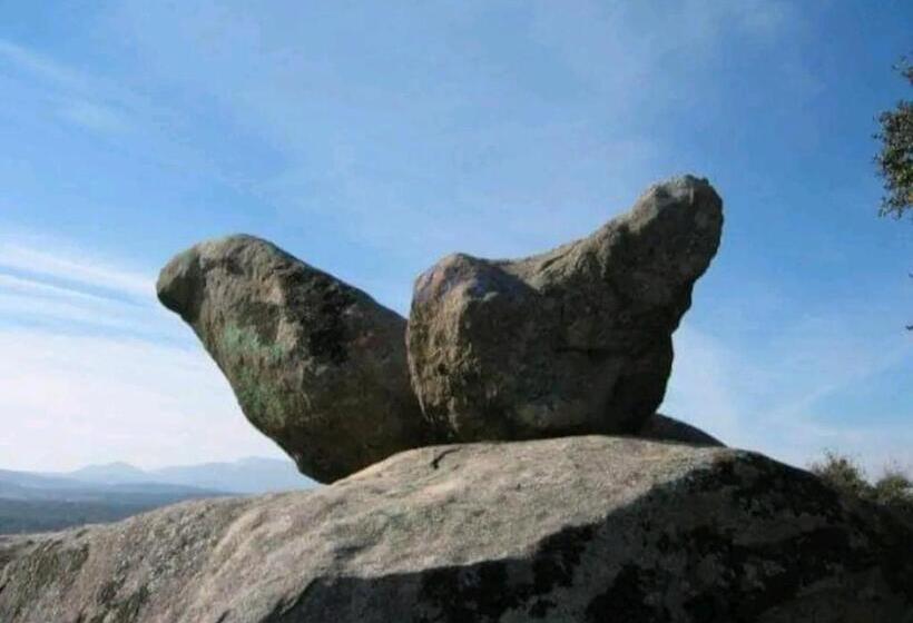 Alojamiento Castelar