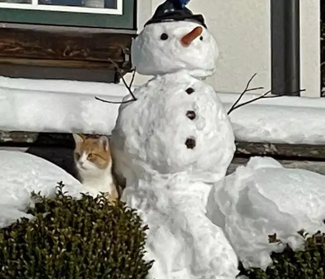 Die Kalsbergerin Ferienwohnung Für Genießer