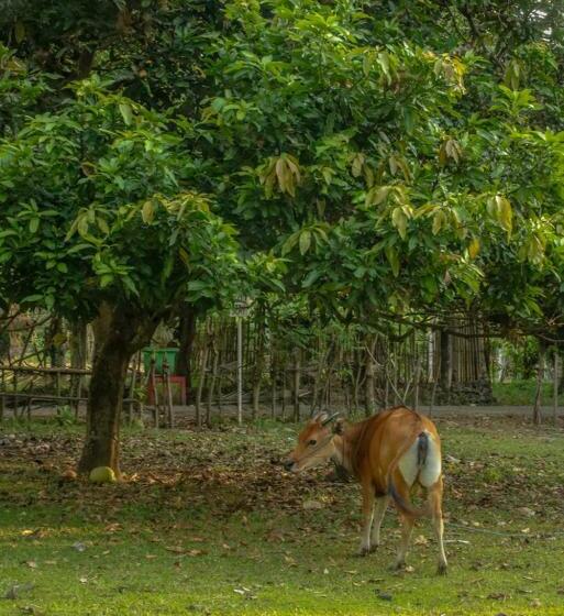 酒店 Lendang Eco Lodge