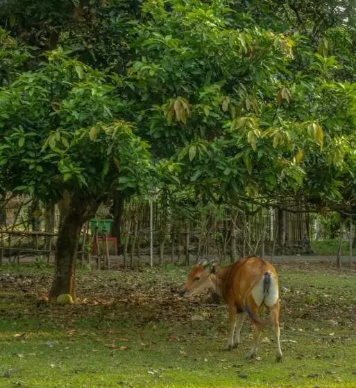 ホテル Lendang Eco Lodge