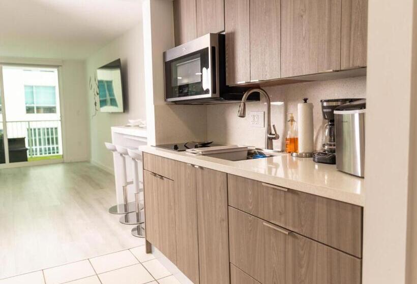 Modern And Luxurious Brickell Studio