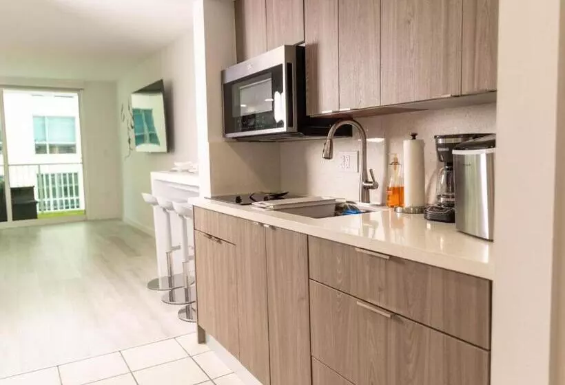 Modern And Luxurious Brickell Studio