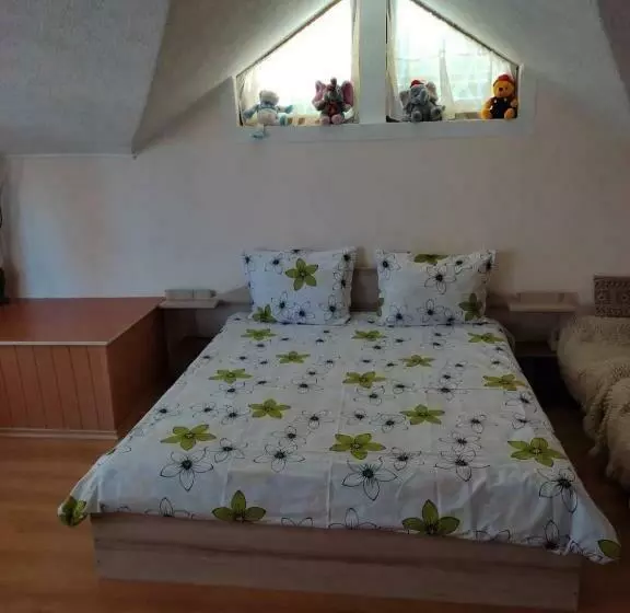 ペンション къща за гости орфей