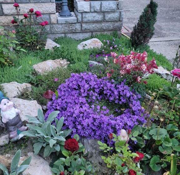 بنسيون Anda Vendégház