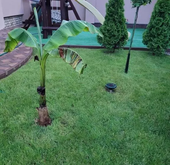 Majatalo Anda Vendégház