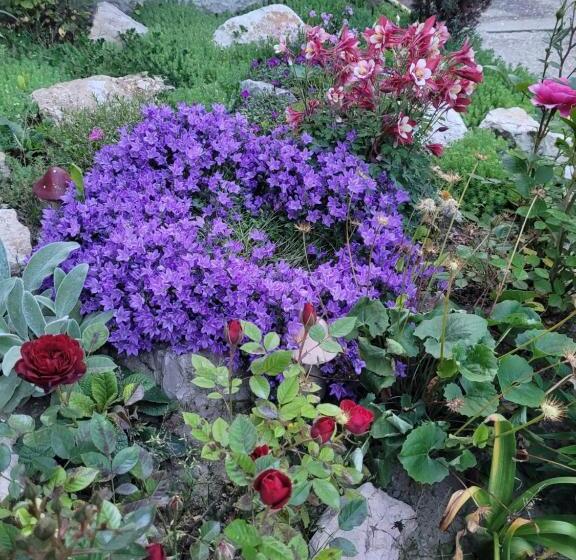 بنسيون Anda Vendégház