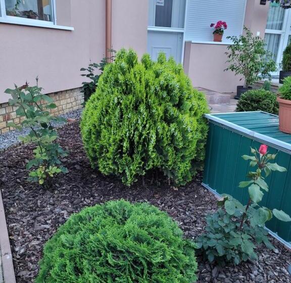 بنسيون Anda Vendégház