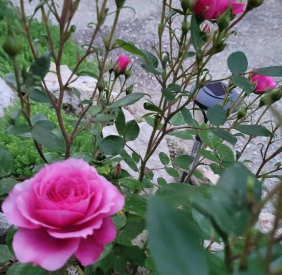 بنسيون Anda Vendégház