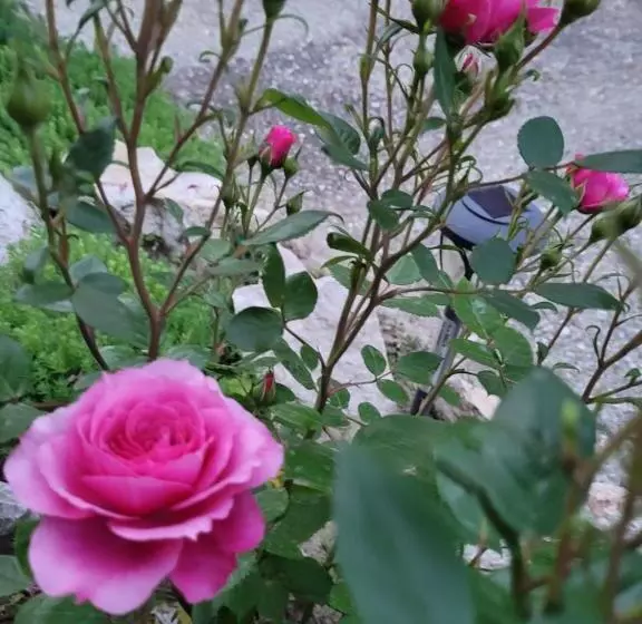 Majatalo Anda Vendégház