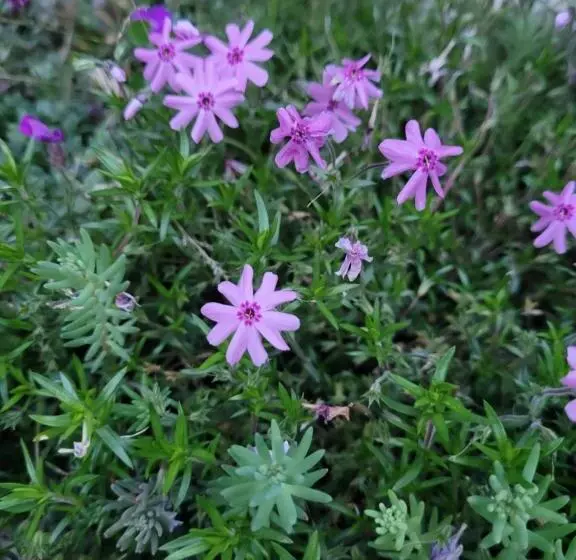 Majatalo Anda Vendégház