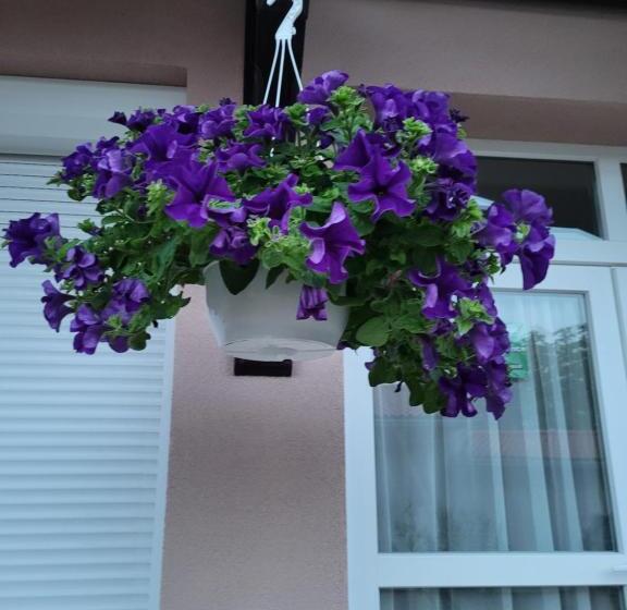 بنسيون Anda Vendégház