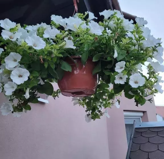 Majatalo Anda Vendégház