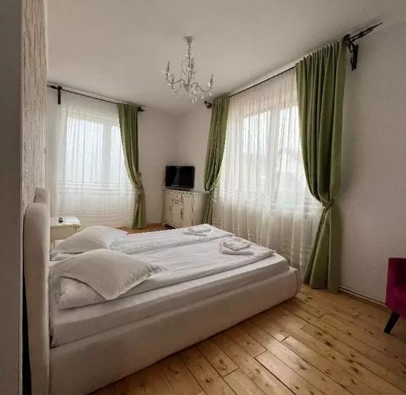 Pensió Vila Codreanu