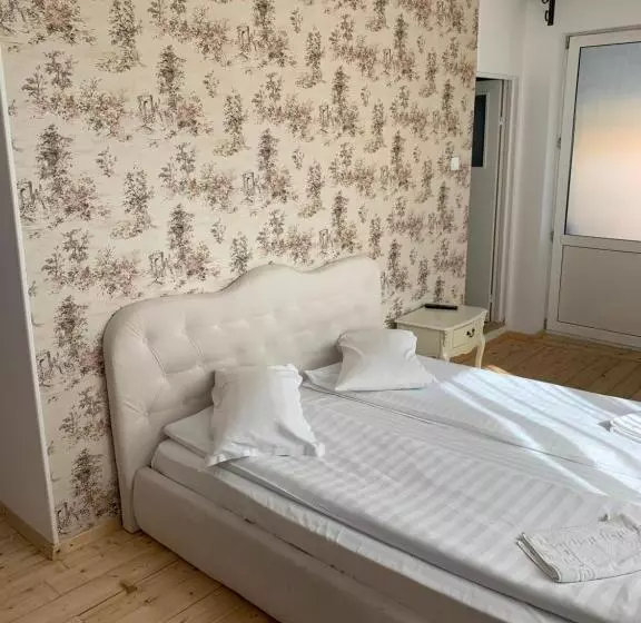 Pensió Vila Codreanu