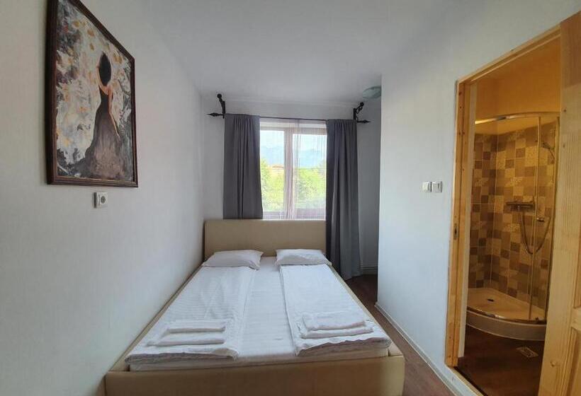 پانسیون Vila Codreanu