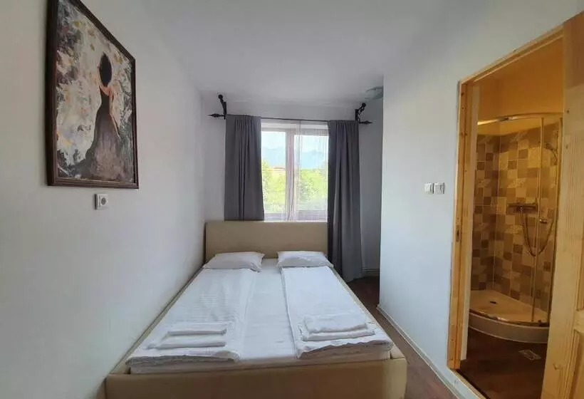 Pensió Vila Codreanu