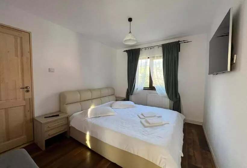 Pensió Vila Codreanu