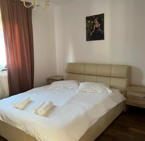 Pensió Vila Codreanu