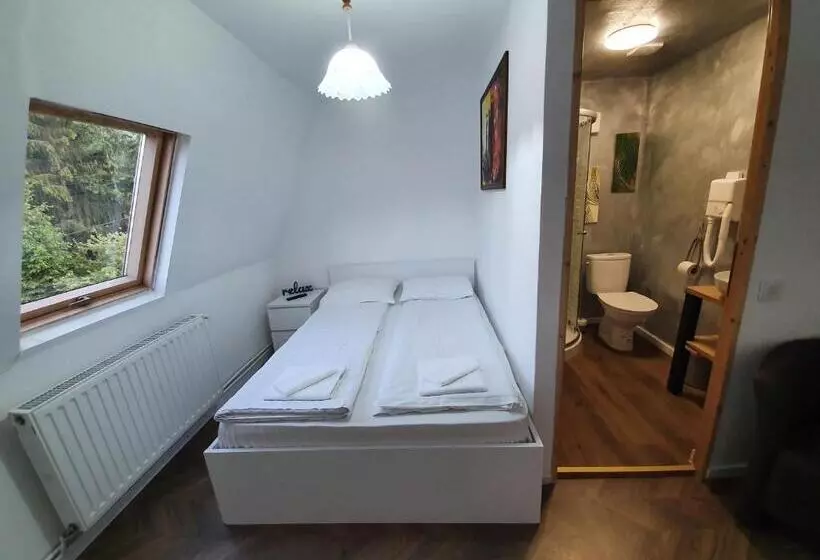 Pensió Vila Codreanu